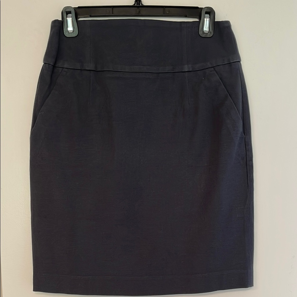 Banana Republic Pencil Skirt